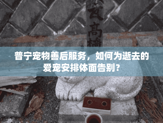 普宁宠物善后服务,如何为逝去的爱宠安排体面告别? 普宁宠物善后服务,如何为逝去的爱宠安排体面告别?