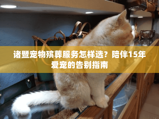 诸暨宠物殡葬服务怎样选?陪伴15年爱宠的告别指南 诸暨宠物殡葬服务怎样选?陪伴15年爱宠的告别指南
