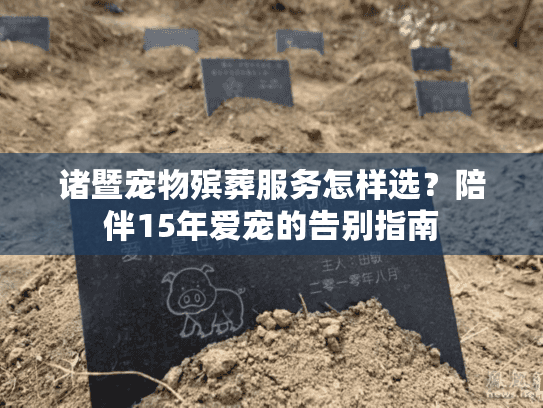 诸暨宠物殡葬服务怎样选?陪伴15年爱宠的告别指南 诸暨宠物殡葬服务怎样选?陪伴15年爱宠的告别指南