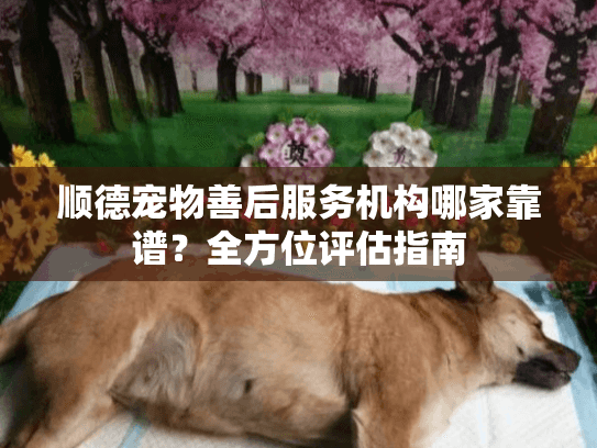顺德宠物善后服务机构哪家靠谱？全方位评估指南