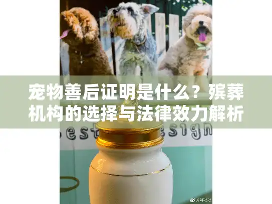 宠物善后证明是什么？殡葬机构的选择与法律效力解析