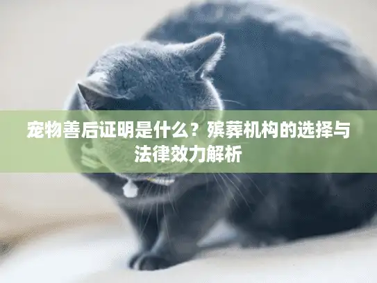 宠物善后证明是什么？殡葬机构的选择与法律效力解析