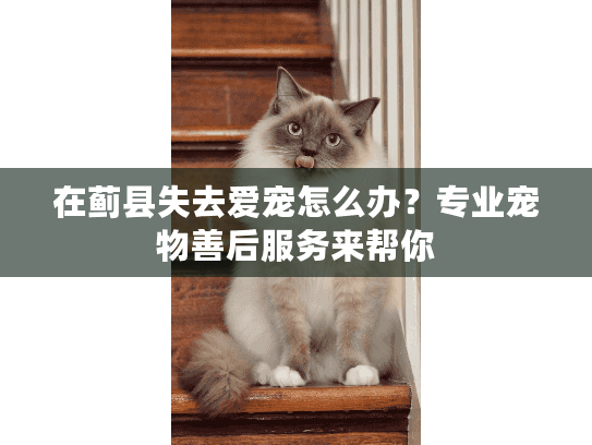 在蓟县失去爱宠怎么办?专业宠物善后服务来帮你 在蓟县失去爱宠怎么办?专业宠物善后服务来帮你