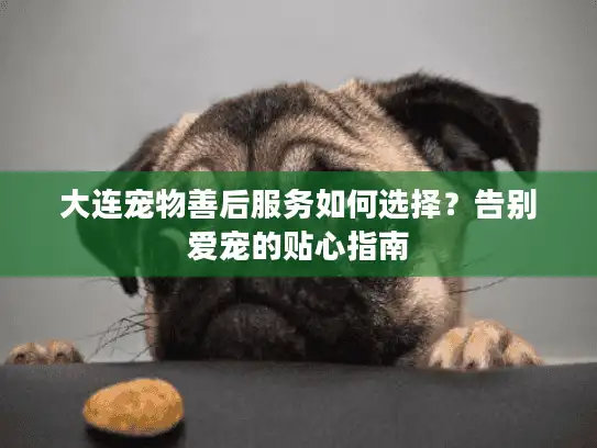大连宠物善后服务如何选择？告别爱宠的贴心指南