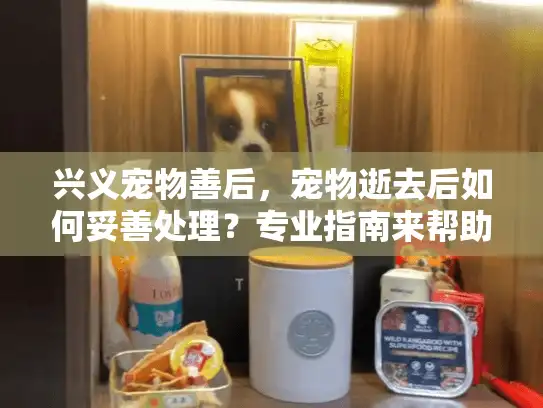 兴义宠物善后，宠物逝去后如何妥善处理？专业指南来帮助