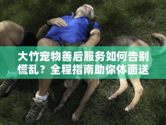 大竹宠物善后服务如何告别慌乱?全程指南助你体面送别爱宠 大竹宠物善后服务如何告别慌乱?全程指南助你体面送别爱宠