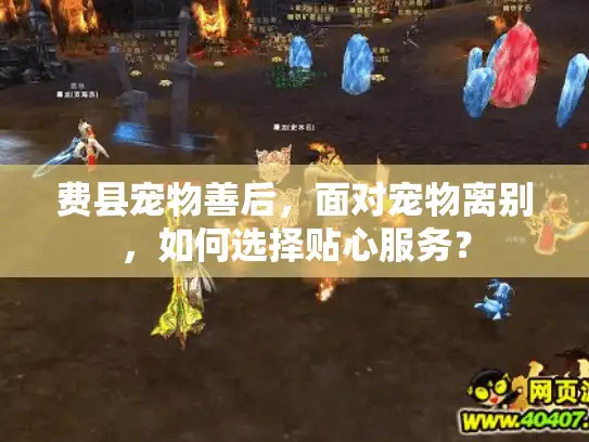 费县宠物善后，面对宠物离别，如何选择贴心服务？