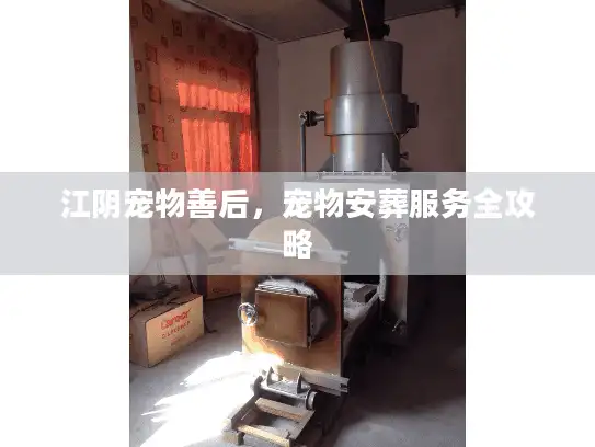 江阴宠物善后，宠物安葬服务全攻略