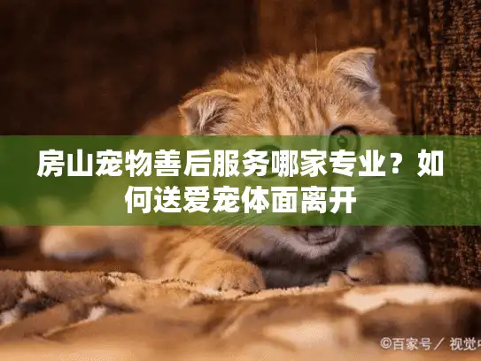 房山宠物善后服务哪家专业？如何送爱宠体面离开