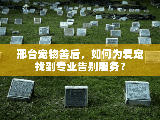邢台宠物善后,如何为爱宠找到专业告别服务? 邢台宠物善后,如何为爱宠找到专业告别服务?