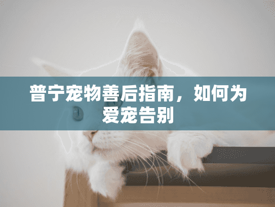 普宁宠物善后指南，如何为爱宠告别
