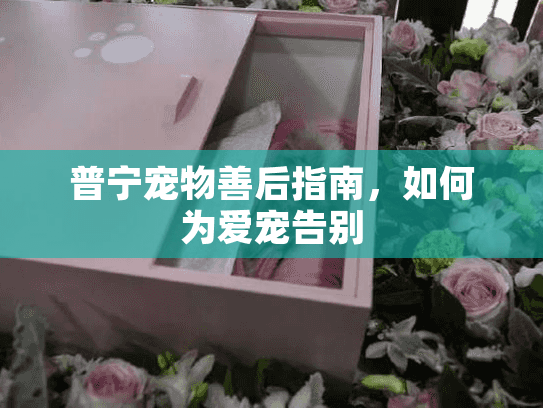 普宁宠物善后指南，如何为爱宠告别