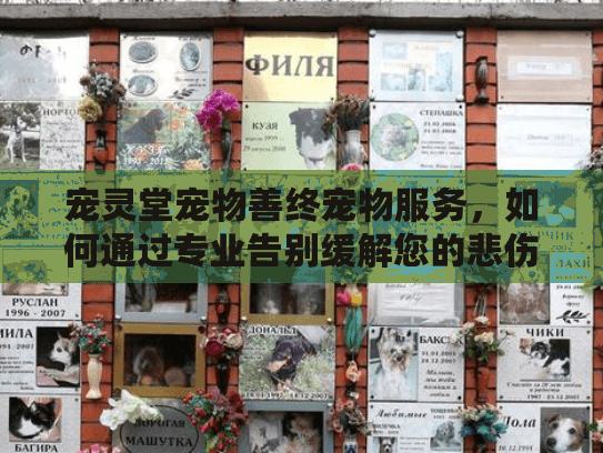 宠灵堂宠物善终宠物服务,如何通过专业告别缓解您的悲伤? 宠灵堂宠物善终宠物服务,如何通过专业告别缓解您的悲伤?
