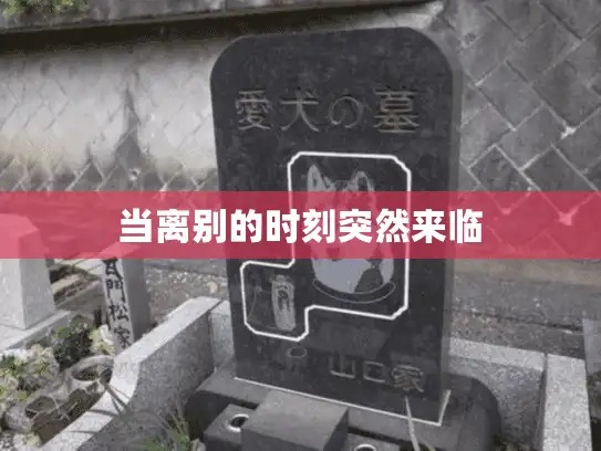 当离别的时刻突然来临 当离别的时刻突然来临