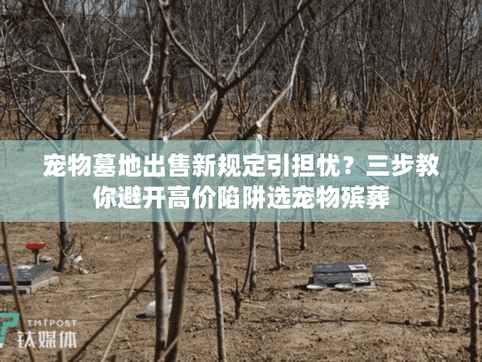 宠物墓地出售新规定引担忧？三步教你避开高价陷阱选宠物殡葬