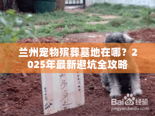 兰州宠物殡葬墓地在哪?2025年最新避坑全攻略 兰州宠物殡葬墓地在哪?2025年最新避坑全攻略
