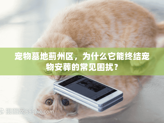 宠物墓地蓟州区，为什么它能终结宠物安葬的常见困扰？
