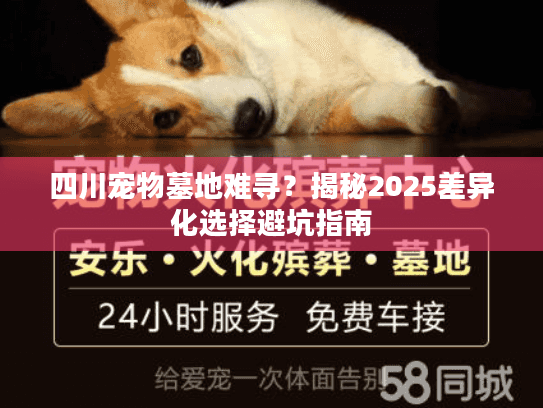 四川宠物墓地难寻？揭秘2025差异化选择避坑指南