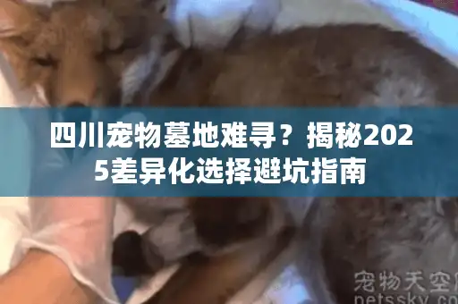 四川宠物墓地难寻？揭秘2025差异化选择避坑指南