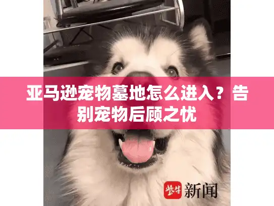 亚马逊宠物墓地怎么进入?告别宠物后顾之忧 亚马逊宠物墓地怎么进入?告别宠物后顾之忧