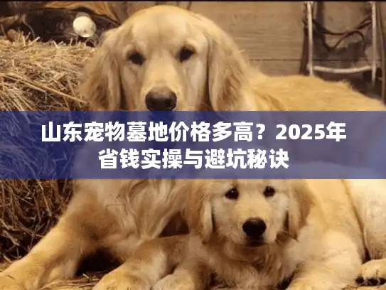 山东宠物墓地价格多高？2025年省钱实操与避坑秘诀