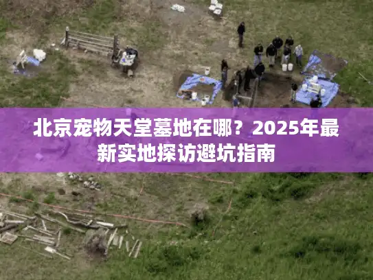 北京宠物天堂墓地在哪？2025年最新实地探访避坑指南
