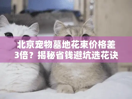 北京宠物墓地花束价格差3倍？揭秘省钱避坑选花诀窍