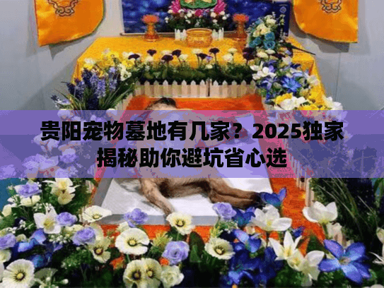 贵阳宠物墓地有几家？2025独家揭秘助你避坑省心选