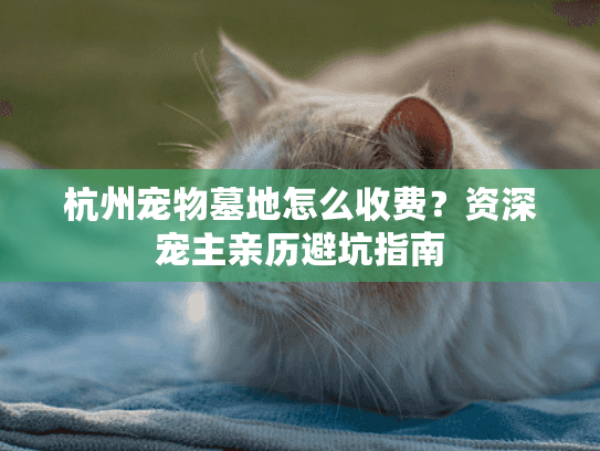 杭州宠物墓地怎么收费？资深宠主亲历避坑指南