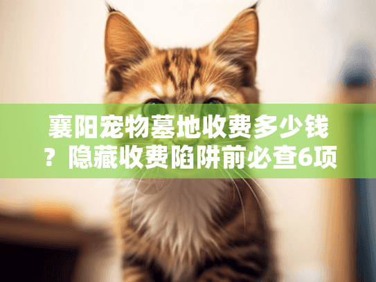 襄阳宠物墓地收费多少钱？隐藏收费陷阱前必查6项参数