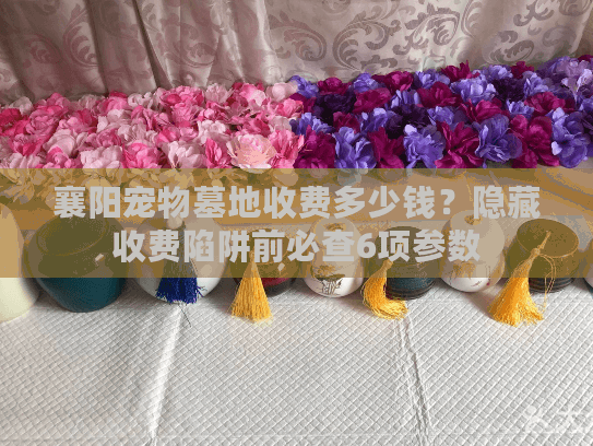 襄阳宠物墓地收费多少钱？隐藏收费陷阱前必查6项参数