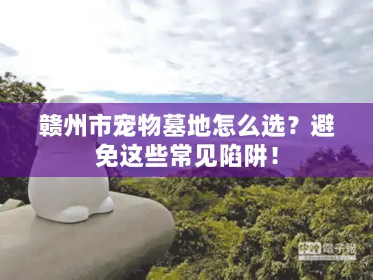 赣州市宠物墓地怎么选？避免这些常见陷阱！