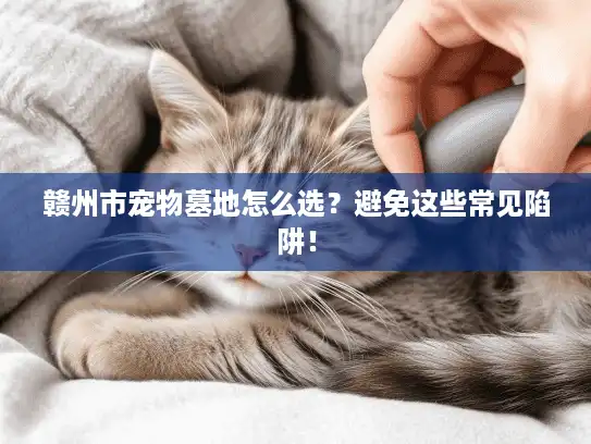 赣州市宠物墓地怎么选？避免这些常见陷阱！