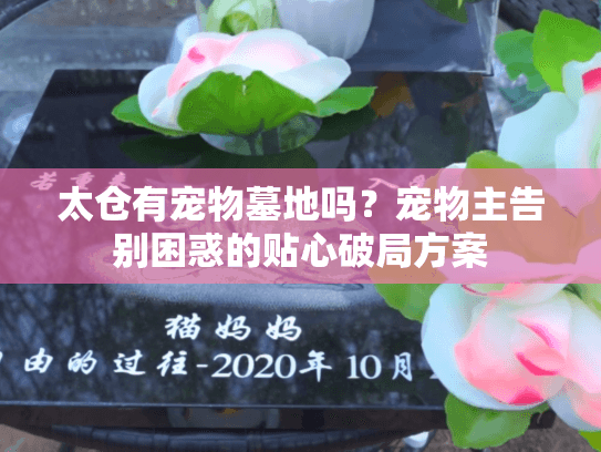 太仓有宠物墓地吗?宠物主告别困惑的贴心破局方案 太仓有宠物墓地吗?宠物主告别困惑的贴心破局方案