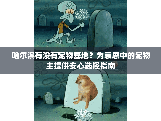 哈尔滨有没有宠物墓地？为哀思中的宠物主提供安心选择指南