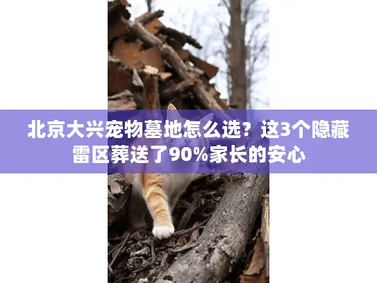 北京大兴宠物墓地怎么选？这3个隐藏雷区葬送了90%家长的安心