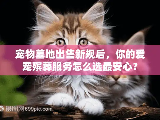宠物墓地出售新规后，你的爱宠殡葬服务怎么选最安心？