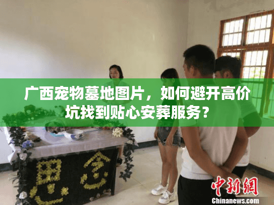广西宠物墓地图片,如何避开高价坑找到贴心安葬服务? 广西宠物墓地图片,如何避开高价坑找到贴心安葬服务?