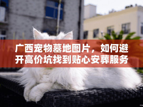 广西宠物墓地图片,如何避开高价坑找到贴心安葬服务? 广西宠物墓地图片,如何避开高价坑找到贴心安葬服务?