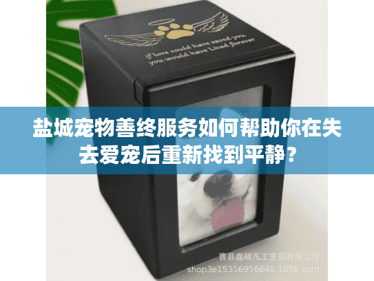 盐城宠物善终服务如何帮助你在失去爱宠后重新找到平静？