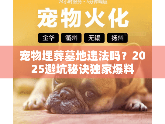 宠物埋葬墓地违法吗？2025避坑秘诀独家爆料