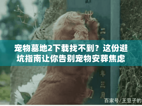 宠物墓地2下载找不到?这份避坑指南让你告别宠物安葬焦虑 宠物墓地2下载找不到?这份避坑指南让你告别宠物安葬焦虑