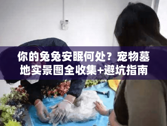 你的兔兔安眠何处?宠物墓地实景图全收集+避坑指南 你的兔兔安眠何处?宠物墓地实景图全收集+避坑指南