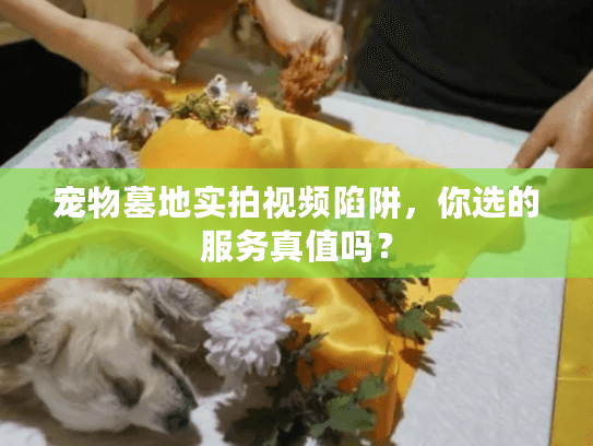 宠物墓地实拍视频陷阱,你选的服务真值吗? 宠物墓地实拍视频陷阱,你选的服务真值吗?