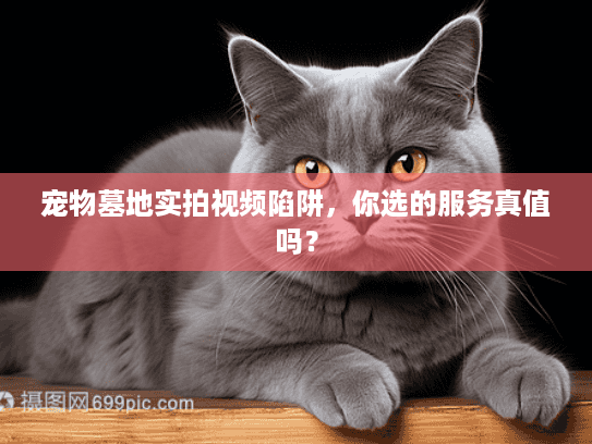 宠物墓地实拍视频陷阱,你选的服务真值吗? 宠物墓地实拍视频陷阱,你选的服务真值吗?