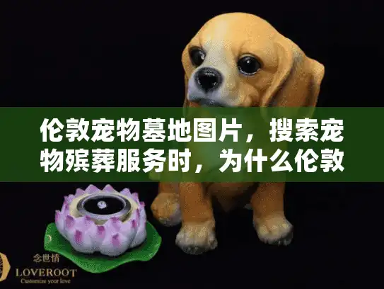 伦敦宠物墓地图片，搜索宠物殡葬服务时，为什么伦敦的选项总让你头疼？