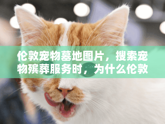 伦敦宠物墓地图片，搜索宠物殡葬服务时，为什么伦敦的选项总让你头疼？