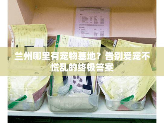 兰州哪里有宠物墓地?告别爱宠不慌乱的终极答案 兰州哪里有宠物墓地?告别爱宠不慌乱的终极答案
