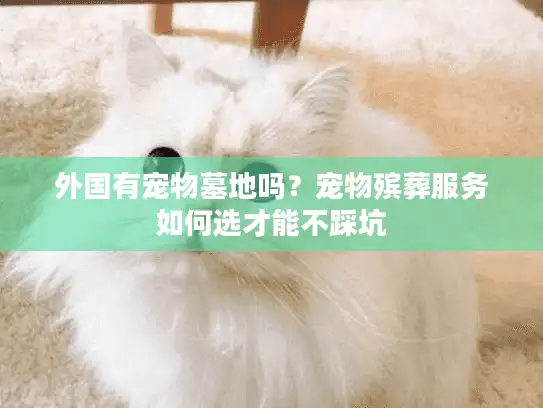 外国有宠物墓地吗？宠物殡葬服务如何选才能不踩坑