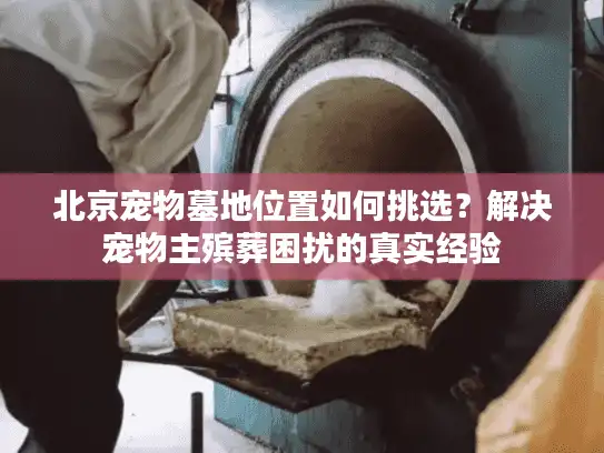 北京宠物墓地位置如何挑选？解决宠物主殡葬困扰的真实经验